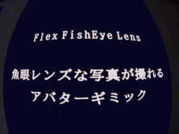 Flex FishEye Lens Sample World