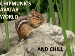 chipmunk's avatar and chill
