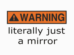 Literally Just a Mirror