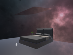 A Bed in Space and Time