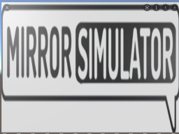 mirror simulator