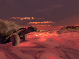 On a turtoise back around the island