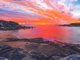Club Club Club