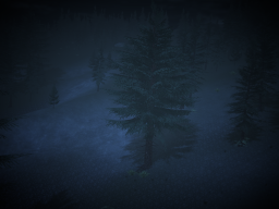 When you are camping and decide to go Hiking then get lost in the middle of nowhere at night․