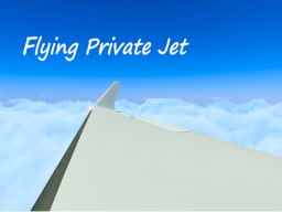 Flying Private Jet