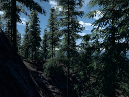 procedural forest 2