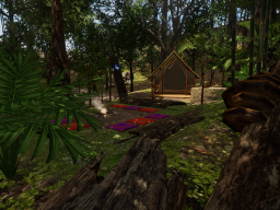 Jungle Meditation Camp