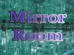 The Mirror Room