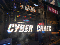 Cyber Chaek