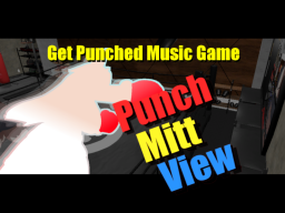 Punch Mitt View