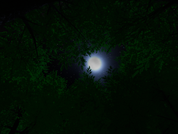 Moonlight_Forest _Test_World ［UNFINISHED］
