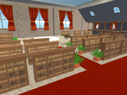 SkyPalace Library