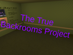 The True Backrooms Project˸ Read Description