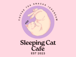 Sleeping Cat Cafe ｜ 자는 고양이 카페