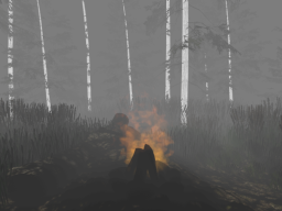 Campfire in the forest