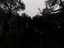 Quiet Graveyard