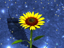 Space Stars and Sunflower