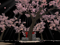 桜の木 ｜ Sakura Tree