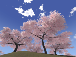 Sakura 4 Seasons