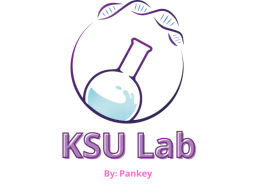 KSU Lab