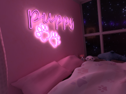 Puppy's Room