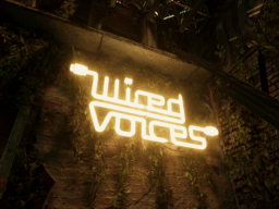Wired Voices Hideout