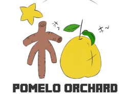 Pomelo orchard
