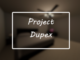 Project Duplex