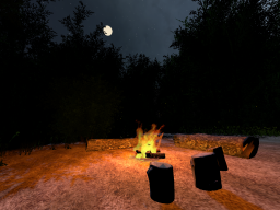 Moonlit Campfire