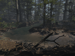 Realistic Forest