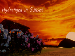 Hydrangea in Sunset