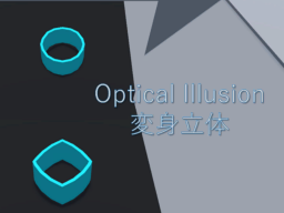 Optical Illusion 変身立体