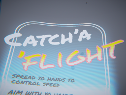 Catch'a'Flight