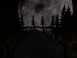 Under the moonlight