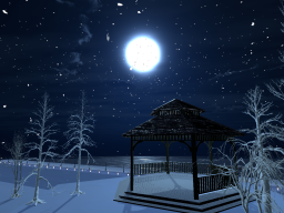 Winter Night Park